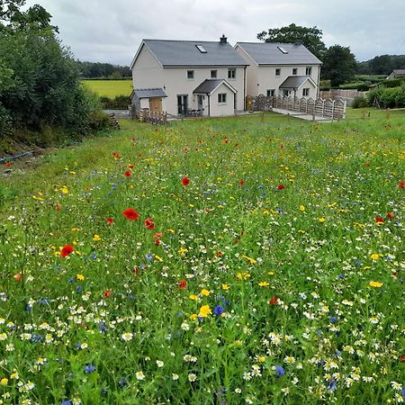 Family Country Cottage With Stunning Mountain Views Myddfai Экстерьер фото