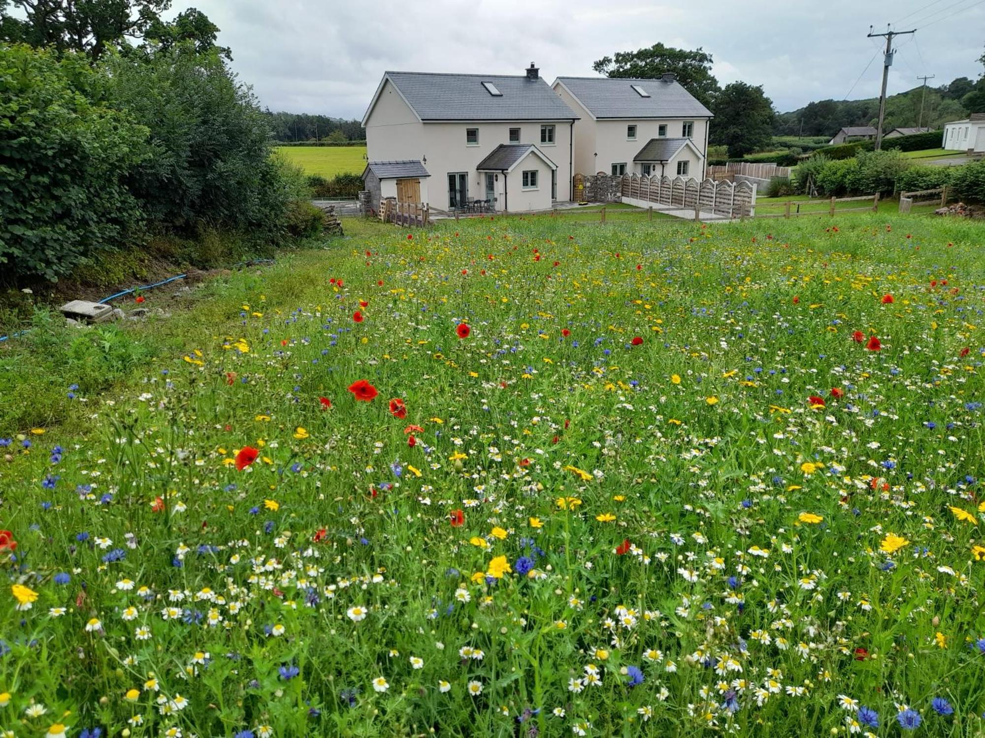 Family Country Cottage With Stunning Mountain Views Myddfai Экстерьер фото